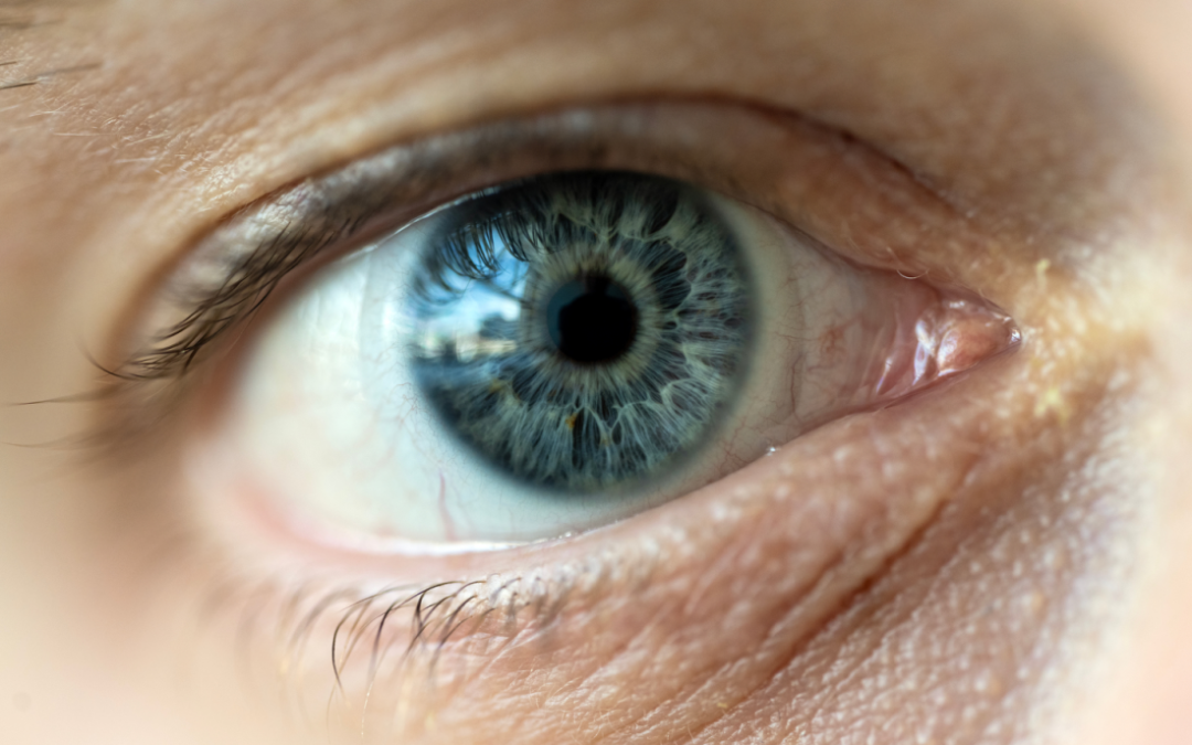 Millions of people have macular degeneration. Could this training model help restore their sight?